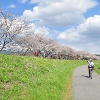 サイクルツーリズム画像