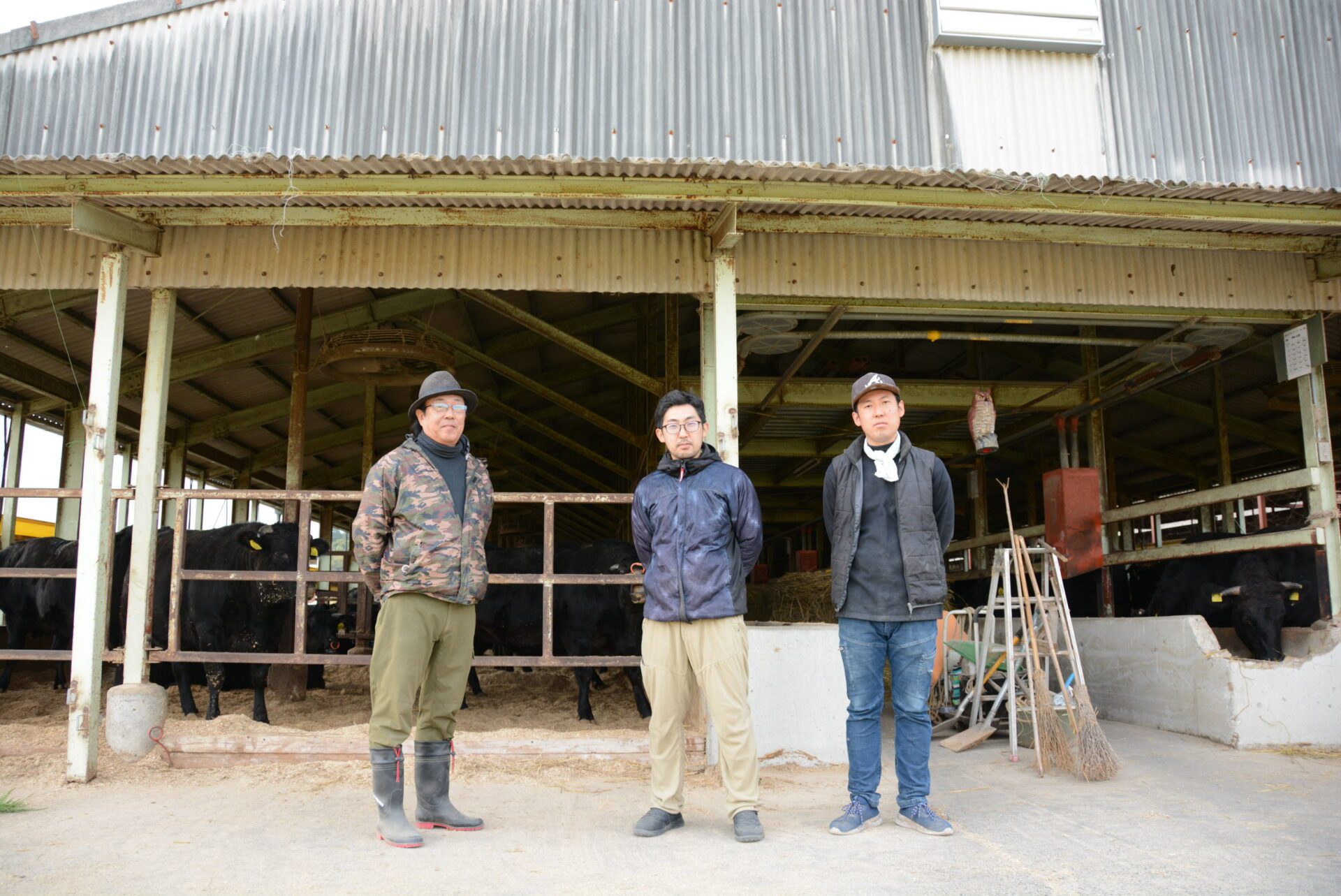 三重いなべ牛の肥育農家の画像
