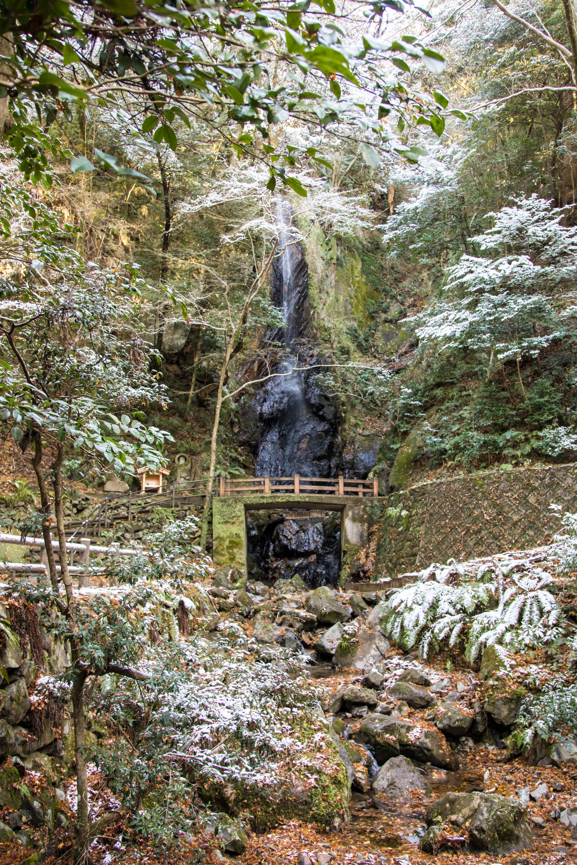 東林寺5.jpg